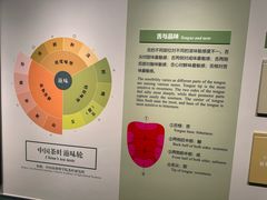 -中国茶叶博物馆(双峰馆区)