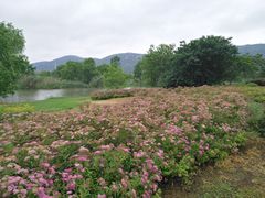 -长广溪湿地公园