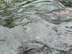 -广州海洋馆
