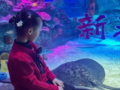 -沈阳海洋探索中心