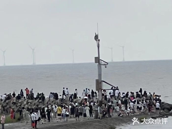 南汇嘴观海公园图片