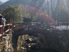 -藏龙百瀑风景区