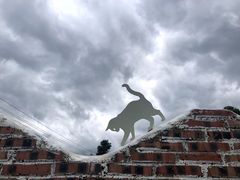 -猫米花园