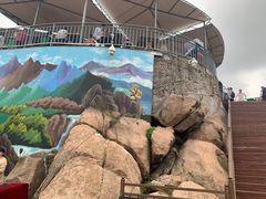 -西霞口神雕山野生动物世界