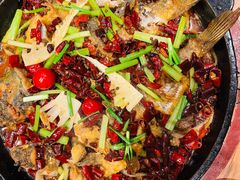老板恋上鱼-老板恋上鱼(高新万达店)