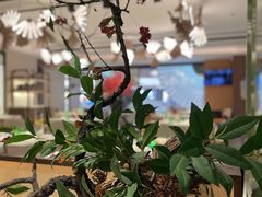 -望湘园·小雅(德基店)