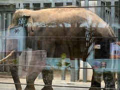 -宁波野生动物园