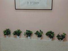 -动物缘宠物医院·骨科·猫科(西二环店)