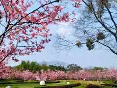 -福建鲤鱼洲酒店