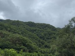 -牛背梁国家森林公园