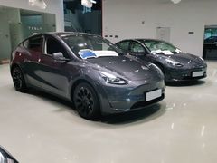 -TESLA 特斯拉(深圳观澜特斯拉直营钣喷中心)