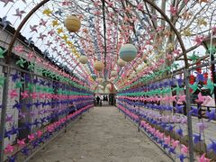 -河北村民俗体验园
