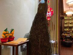 -庄隐阁(悠方广场店)