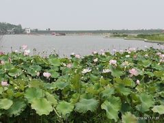 -杏花村文化旅游区