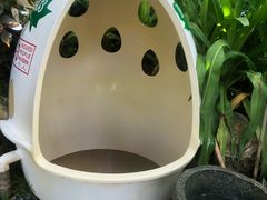 -100蛋泥浆浴