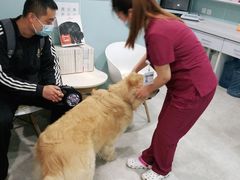 -纳吉亚猫专科动物医院·北北分院