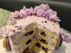-5Cake五度无蔗糖低脂蛋糕(陶然亭店)