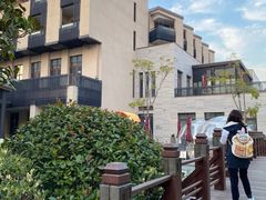 -上海崇明金茂凯悦酒店