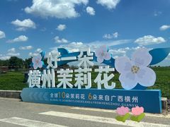 -中华茉莉园
