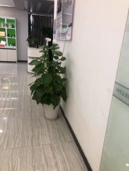 点击看大图 -悟空祛痘·亚健康皮肤管理中心