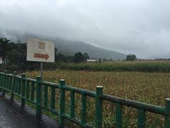 -瑞穗牧场