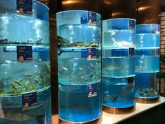 -香坝坝鲜鱼火锅(春熙路店)