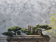 -胡雪岩故居