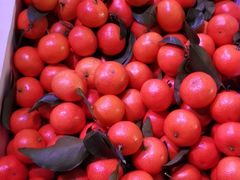 -双福水果批发市场