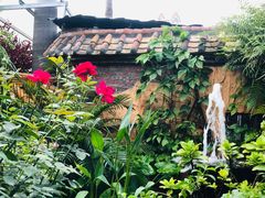 -园林美食城·本土农家菜(杨和镇店)