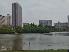 -黄兴公园