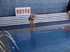 -阳光国际游泳培训基地