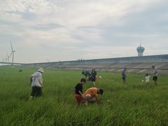 -南汇嘴观海公园