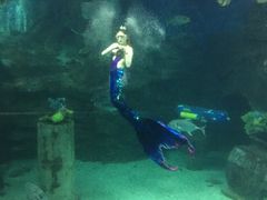 -太平洋海底世界