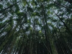 -龙窝子