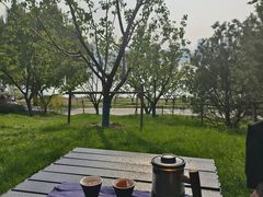 -灞河西岸滨河公园