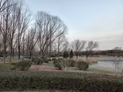 -北坞公园