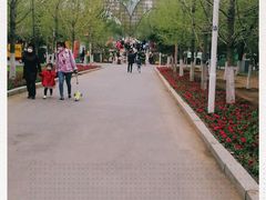 -长白岛森林公园