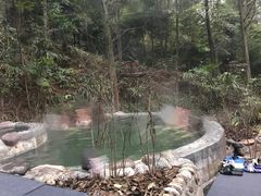 -花水湾第一村温泉大酒店
