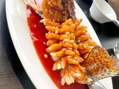 -RIVIERA 松鹤楼(外滩店)