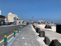 -涉地可支