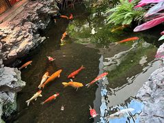 -广州白天鹅宾馆