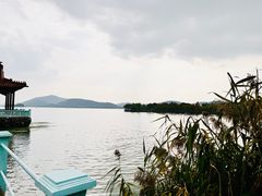 -无锡蠡湖国家湿地公园-蠡园