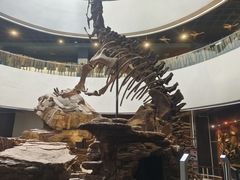 -昆明动物博物馆