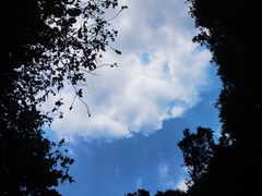 -海口火山口国家地质公园
