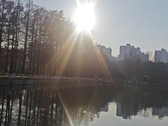 -圩墩遗址公园