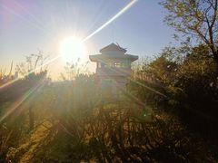 -浮山香苑
