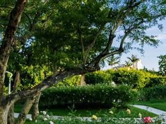 -人民公园(罗湖区)