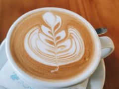 -MOLECULECOFFEE.MANDO 莫勒喝咖啡
