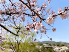 -北京西山国家森林公园