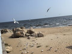 -老虎石海上公园